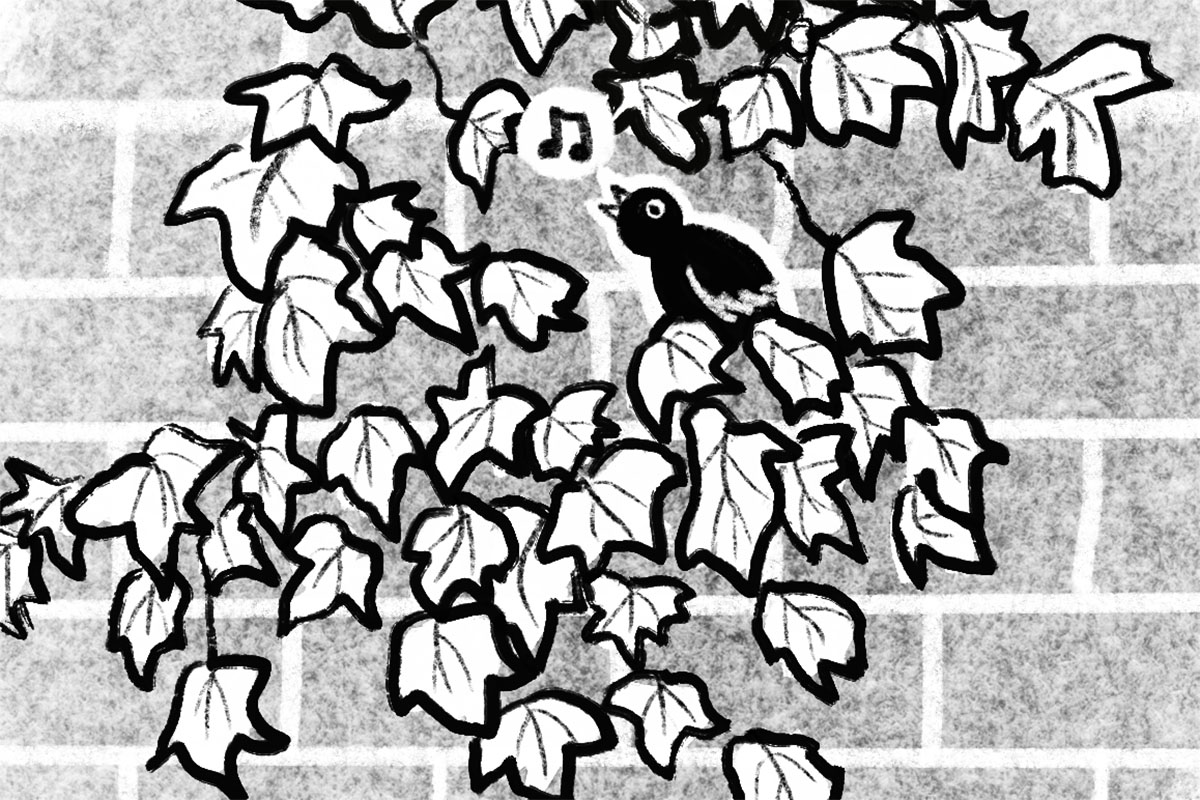 Be Like Bird Girl!